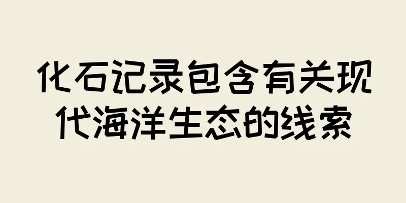 化石记录包含有关现代海洋生态的线索
