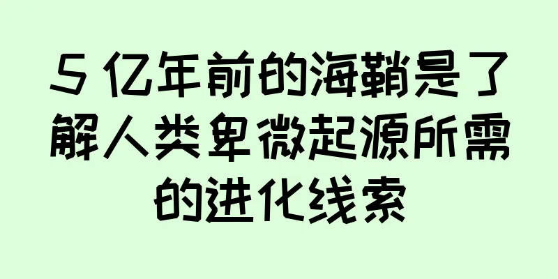 5 亿年前的海鞘是了解人类卑微起源所需的进化线索