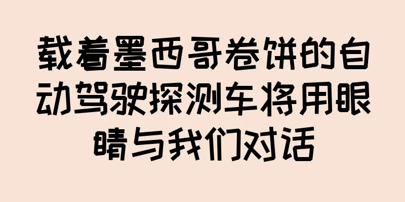 载着墨西哥卷饼的自动驾驶探测车将用眼睛与我们对话