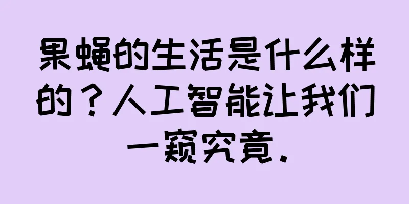 果蝇的生活是什么样的？人工智能让我们一窥究竟。