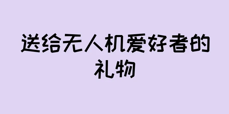 送给无人机爱好者的礼物