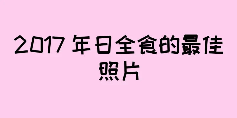 2017 年日全食的最佳照片