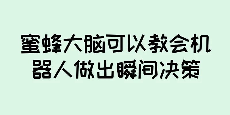 蜜蜂大脑可以教会机器人做出瞬间决策