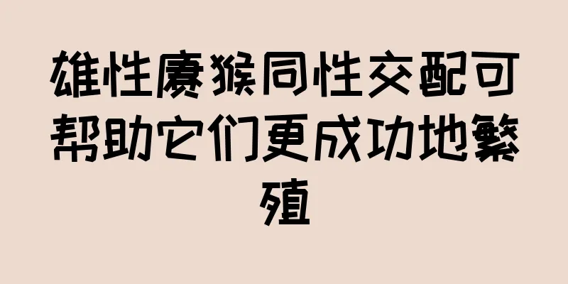 雄性猕猴同性交配可帮助它们更成功地繁殖