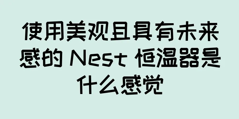 使用美观且具有未来感的 Nest 恒温器是什么感觉