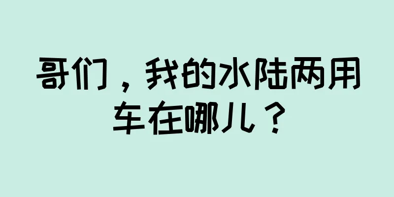 哥们，我的水陆两用车在哪儿？