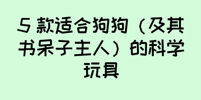 5 款适合狗狗（及其书呆子主人）的科学玩具