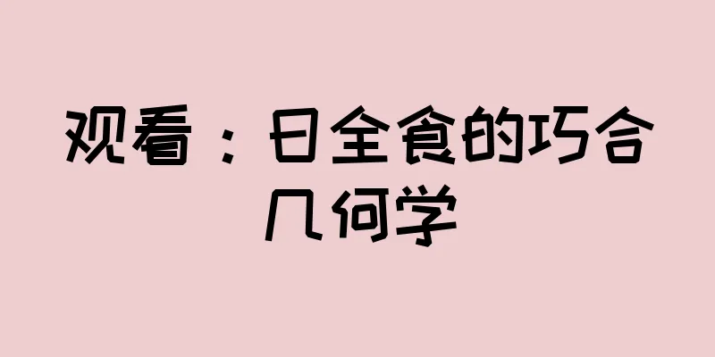 观看：日全食的巧合几何学