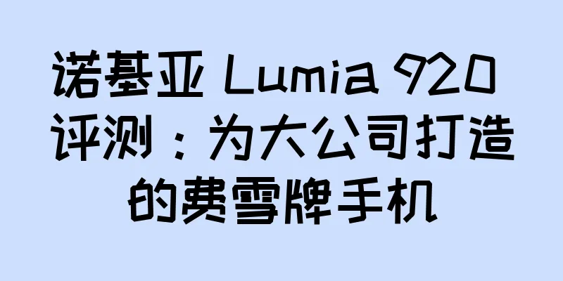 诺基亚 Lumia 920 评测：为大公司打造的费雪牌手机