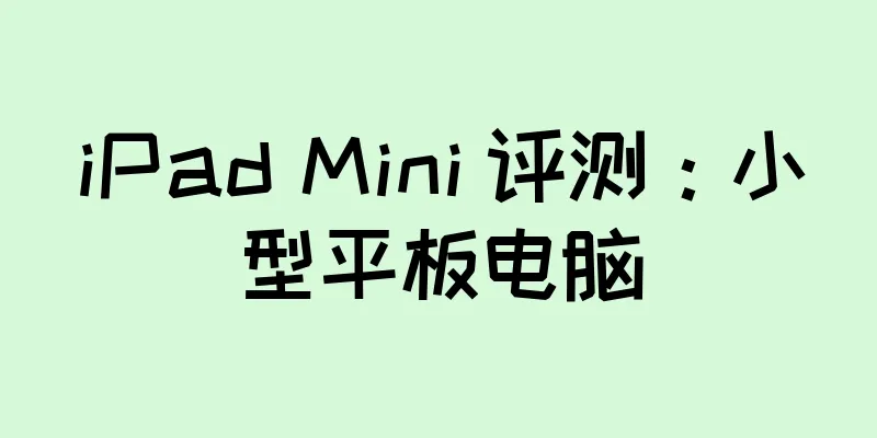 iPad Mini 评测：小型平板电脑