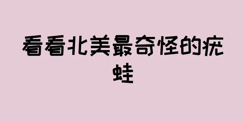 看看北美最奇怪的疣蛙