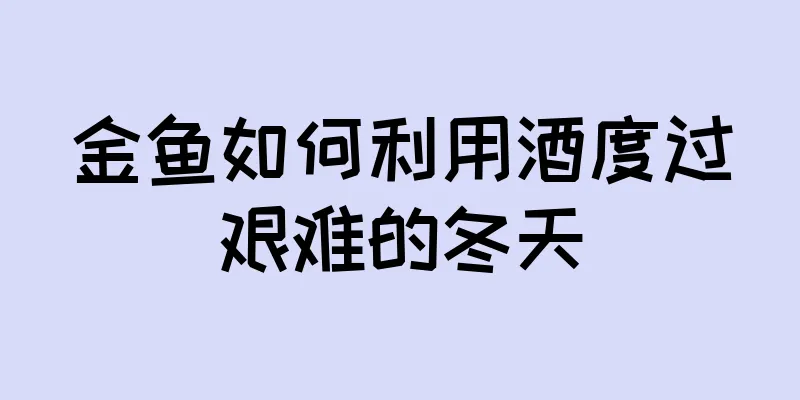 金鱼如何利用酒度过艰难的冬天