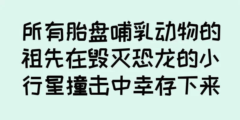 所有胎盘哺乳动物的祖先在毁灭恐龙的小行星撞击中幸存下来