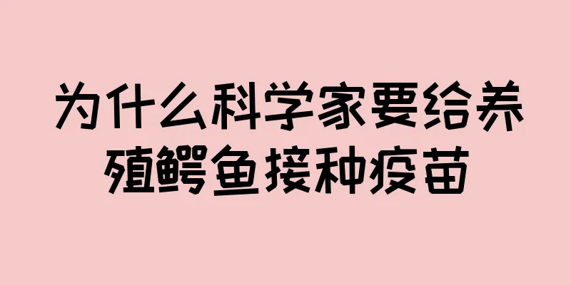 为什么科学家要给养殖鳄鱼接种疫苗