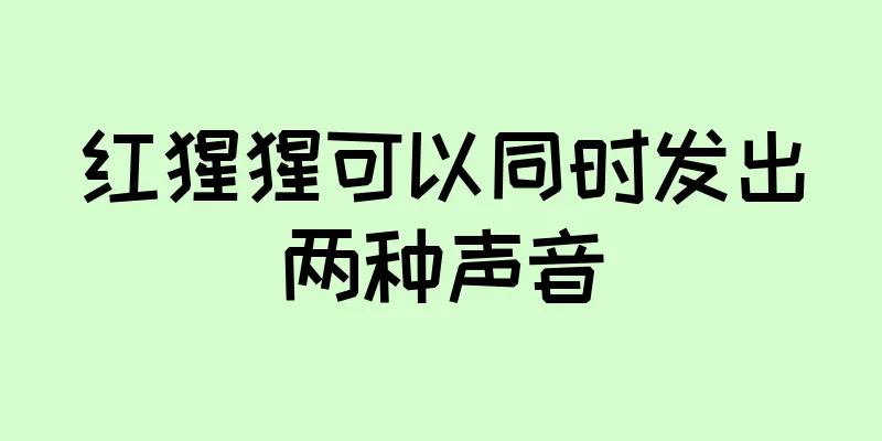 红猩猩可以同时发出两种声音