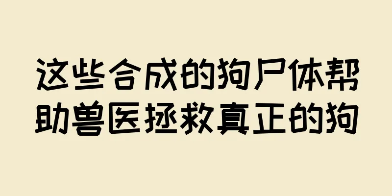 这些合成的狗尸体帮助兽医拯救真正的狗