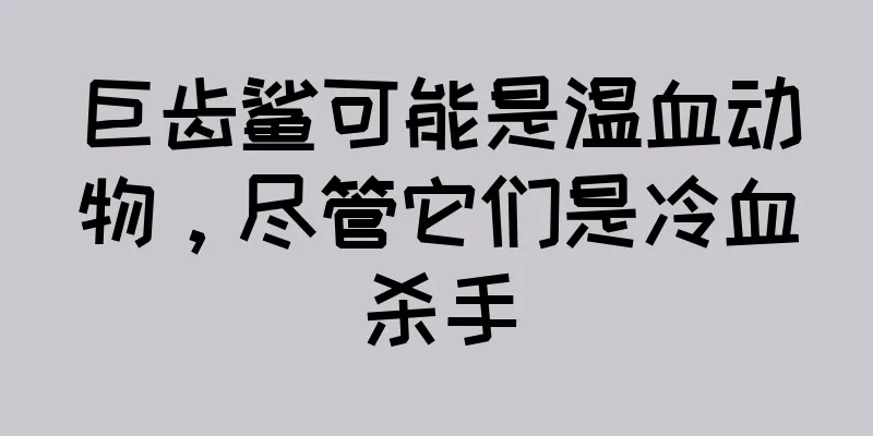 巨齿鲨可能是温血动物，尽管它们是冷血杀手