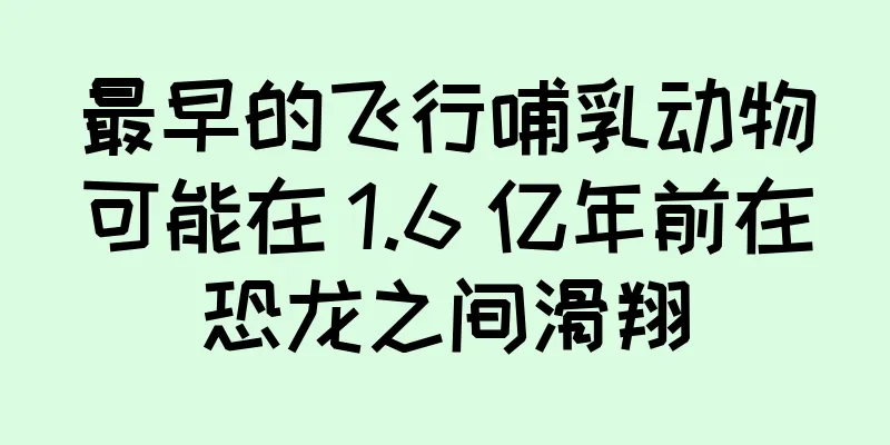 最早的飞行哺乳动物可能在 1.6 亿年前在恐龙之间滑翔