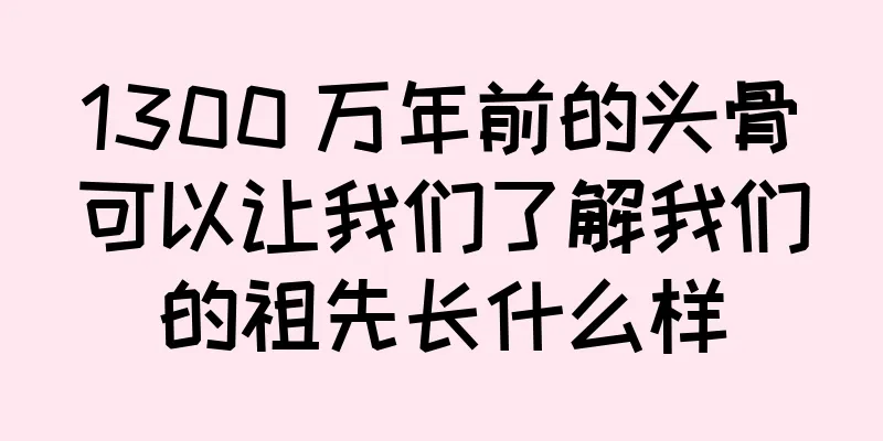 1300 万年前的头骨可以让我们了解我们的祖先长什么样
