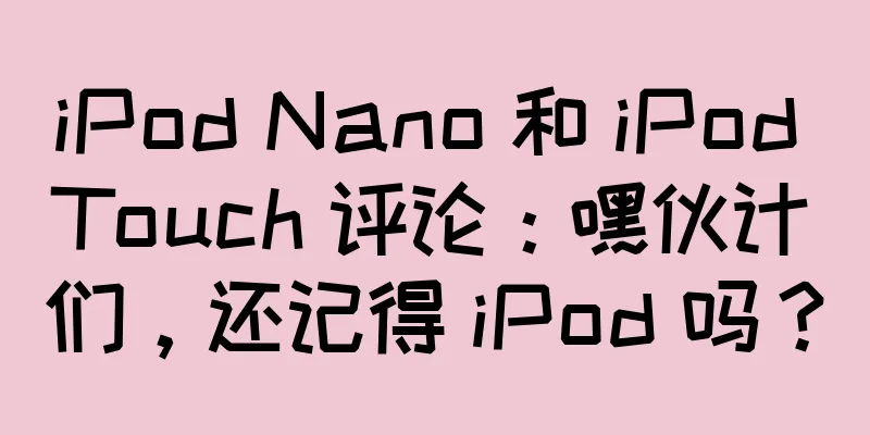iPod Nano 和 iPod Touch 评论：嘿伙计们，还记得 iPod 吗？