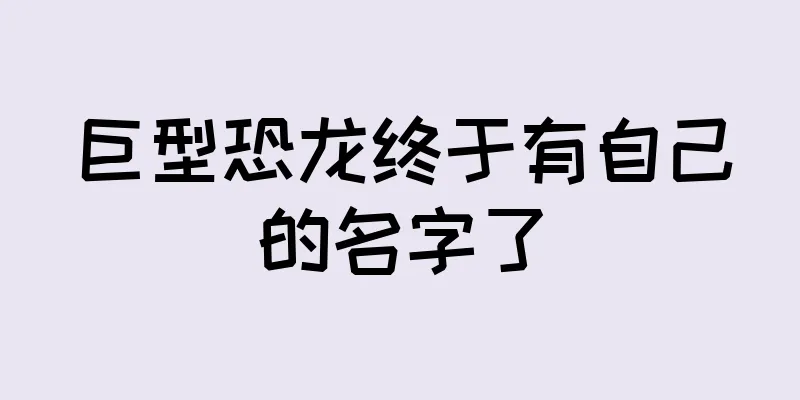 巨型恐龙终于有自己的名字了