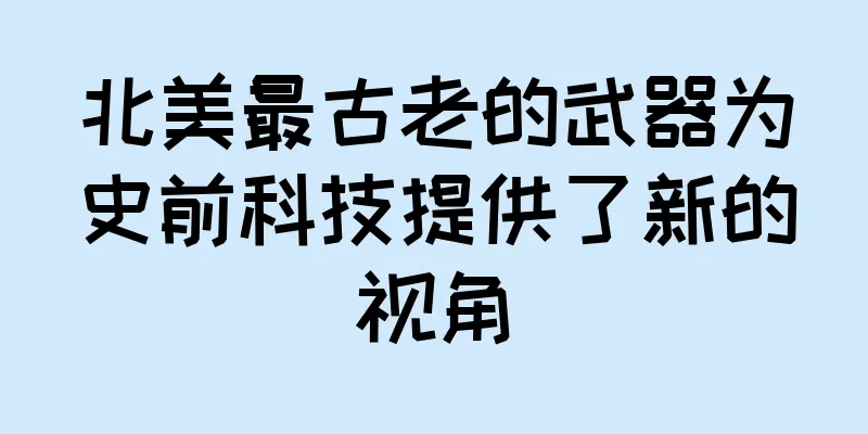 北美最古老的武器为史前科技提供了新的视角