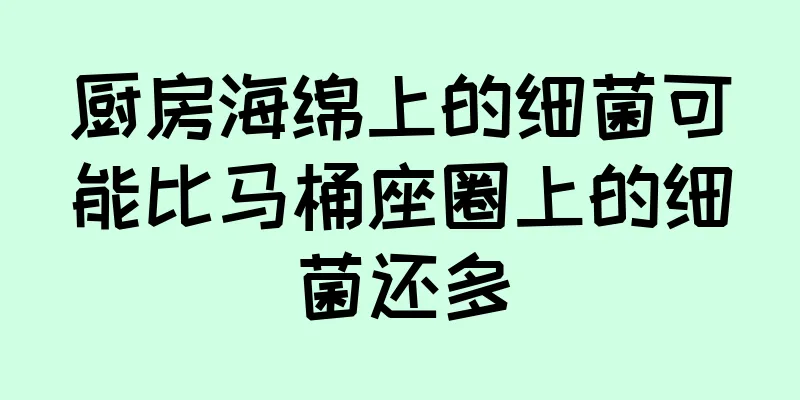 厨房海绵上的细菌可能比马桶座圈上的细菌还多