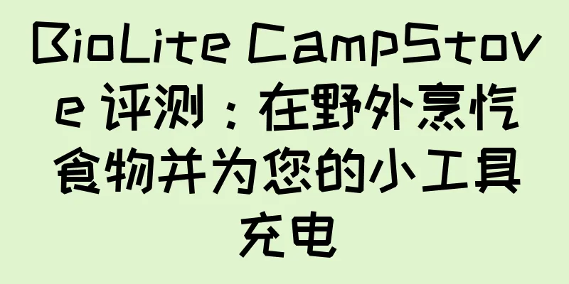 BioLite CampStove 评测：在野外烹饪食物并为您的小工具充电