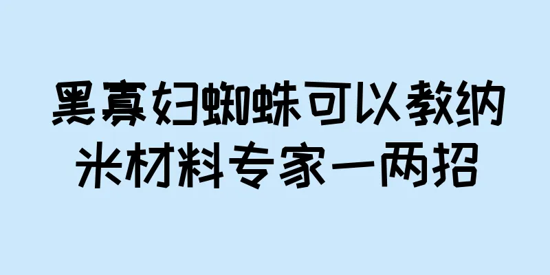 黑寡妇蜘蛛可以教纳米材料专家一两招