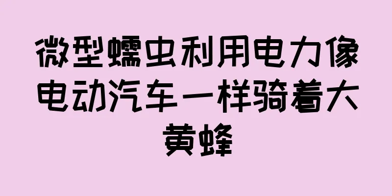 微型蠕虫利用电力像电动汽车一样骑着大黄蜂