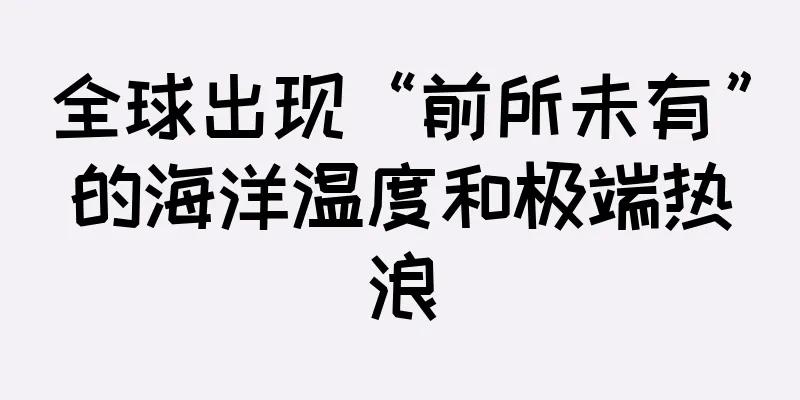 全球出现“前所未有”的海洋温度和极端热浪