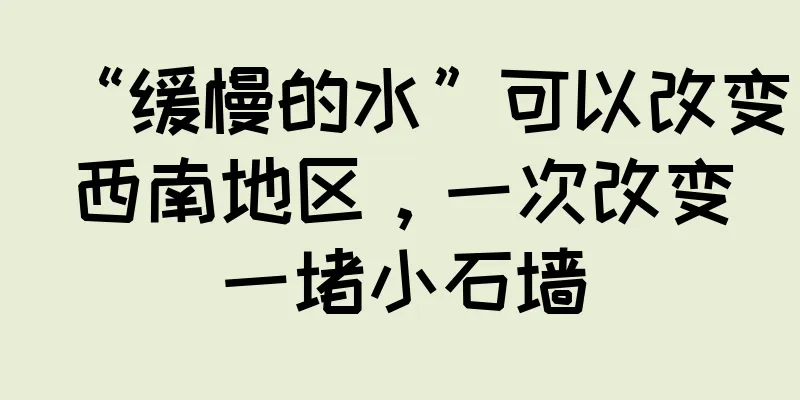 “缓慢的水”可以改变西南地区，一次改变一堵小石墙
