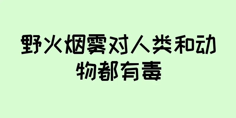 野火烟雾对人类和动物都有毒