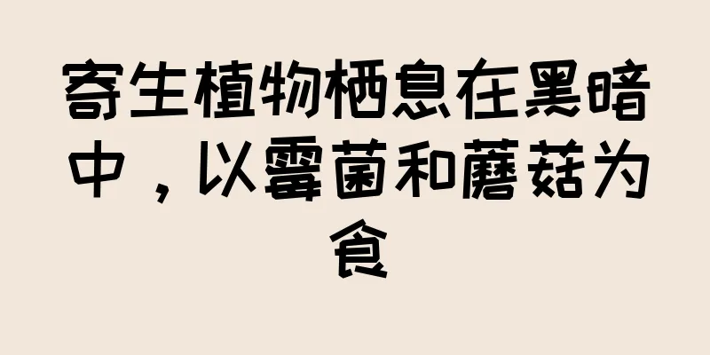 寄生植物栖息在黑暗中，以霉菌和蘑菇为食