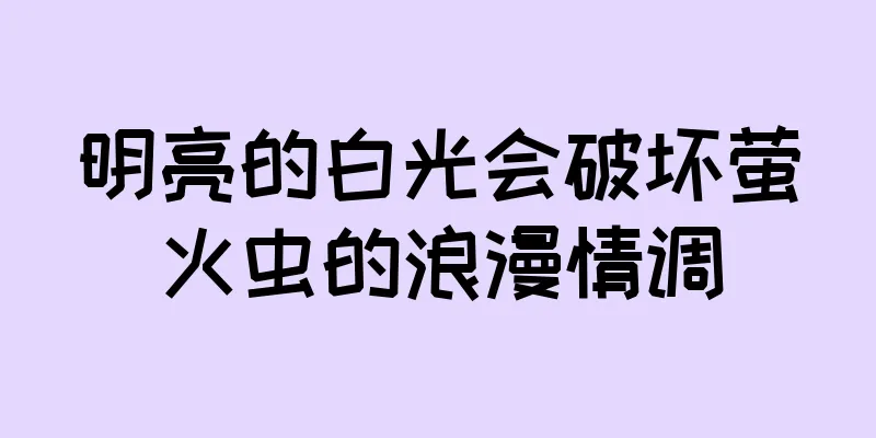 明亮的白光会破坏萤火虫的浪漫情调