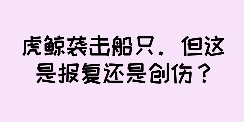 虎鲸袭击船只。但这是报复还是创伤？