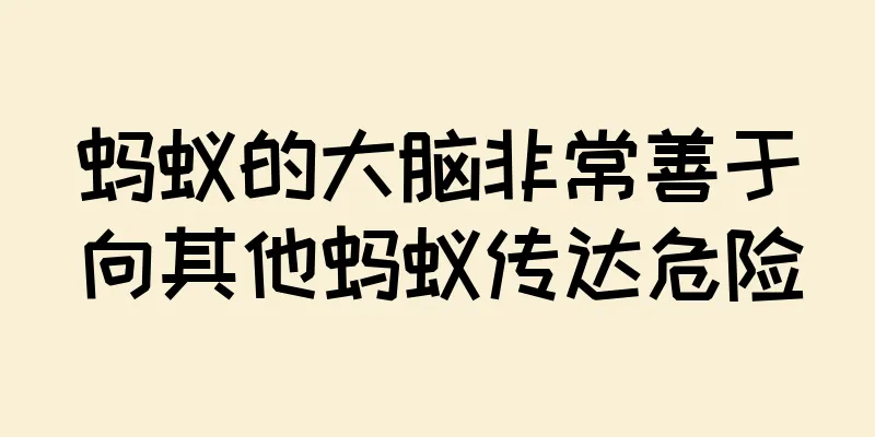 蚂蚁的大脑非常善于向其他蚂蚁传达危险