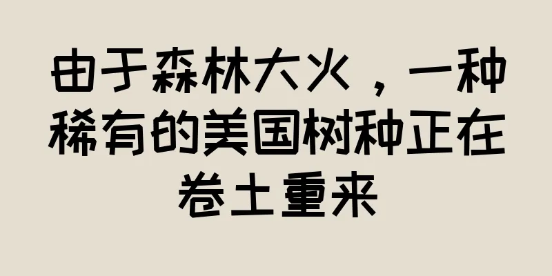 由于森林大火，一种稀有的美国树种正在卷土重来