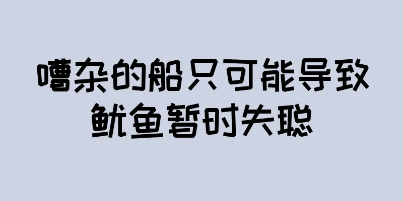 嘈杂的船只可能导致鱿鱼暂时失聪