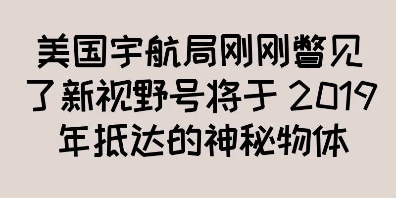 美国宇航局刚刚瞥见了新视野号将于 2019 年抵达的神秘物体