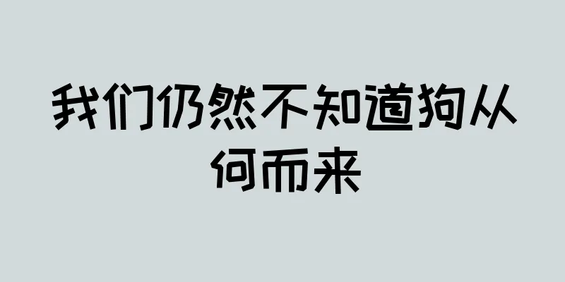 我们仍然不知道狗从何而来