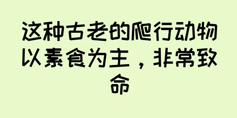 这种古老的爬行动物以素食为主，非常致命