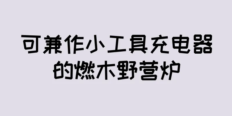 可兼作小工具充电器的燃木野营炉