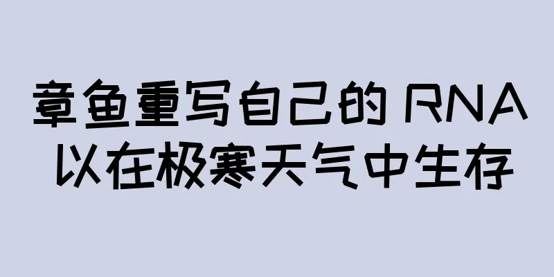 章鱼重写自己的 RNA 以在极寒天气中生存