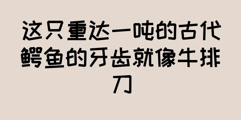 这只重达一吨的古代鳄鱼的牙齿就像牛排刀