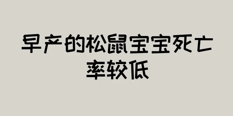 早产的松鼠宝宝死亡率较低