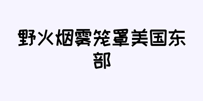 野火烟雾笼罩美国东部