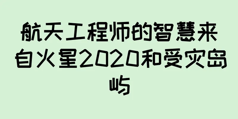 航天工程师的智慧来自火星2020和受灾岛屿