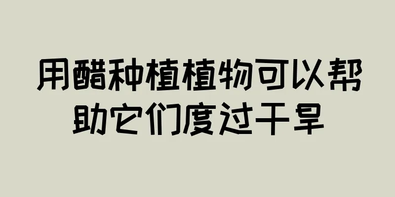 用醋种植植物可以帮助它们度过干旱