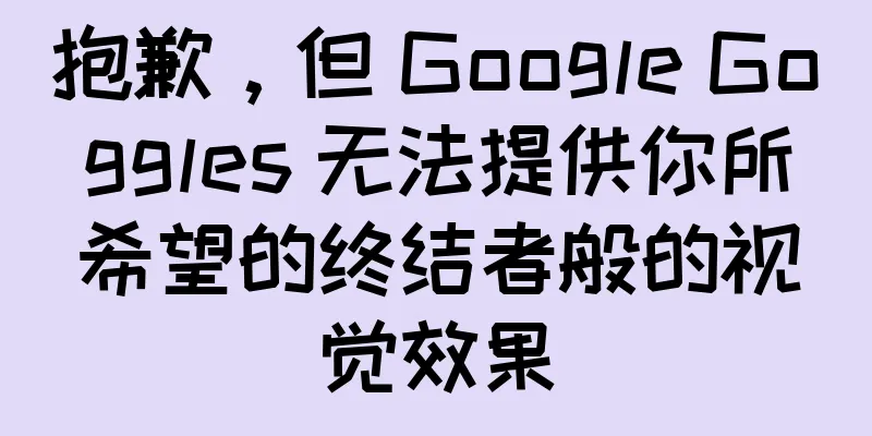 抱歉，但 Google Goggles 无法提供你所希望的终结者般的视觉效果